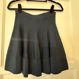 Elegant Navy Blue Pleated Skirt